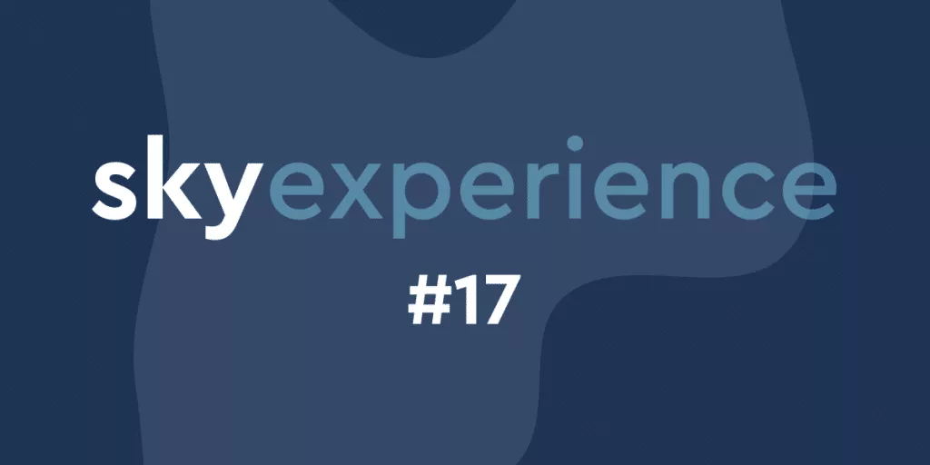 sjyexperience 17