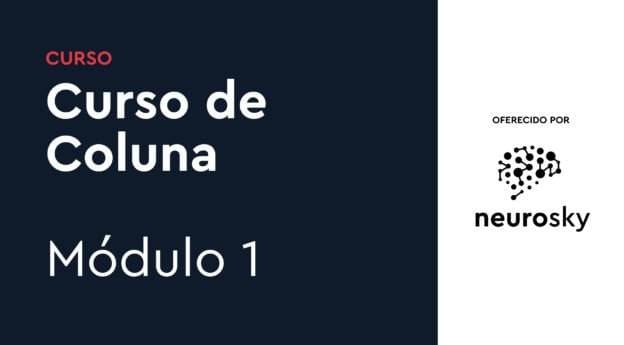 Curso de Coluna - Módulo 1 1 curso coluna1