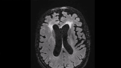 Captura de tela 2025 07 11 183126