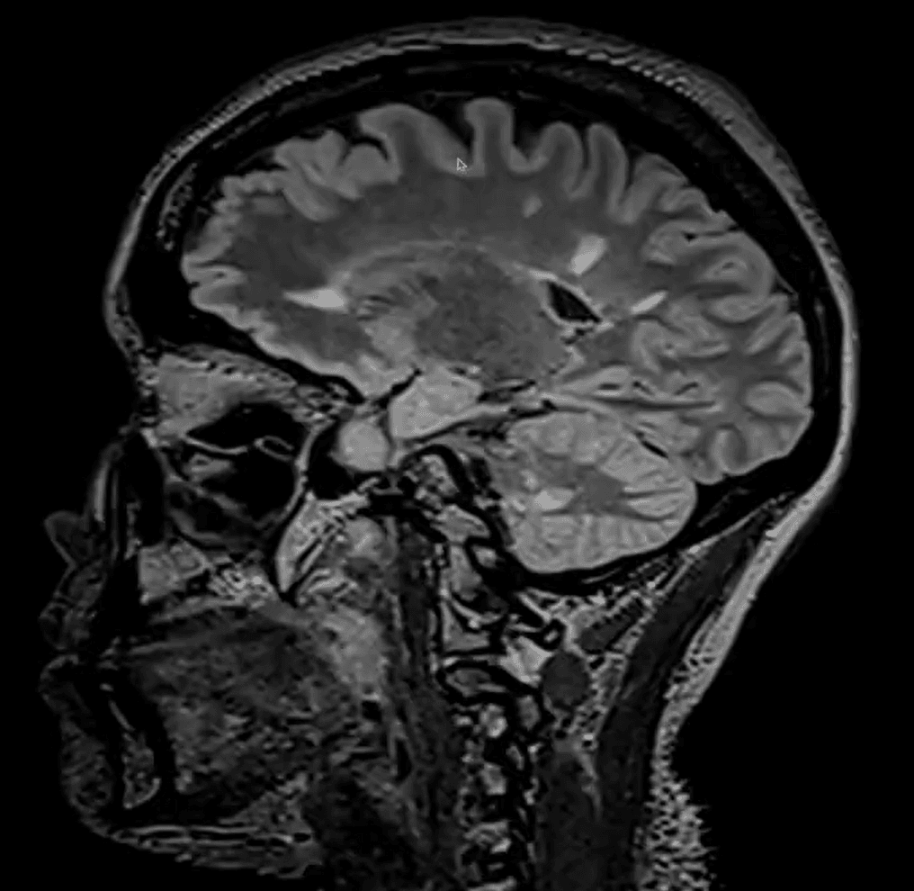 Captura de tela 2025 07 25 102314