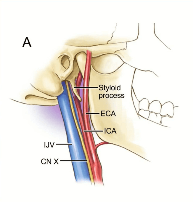 Captura de tela 2025 08 19 114128