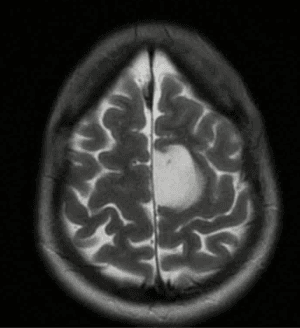 Captura de tela 2025 08 28 114659