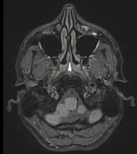 Captura de tela 2025 09 14 092246