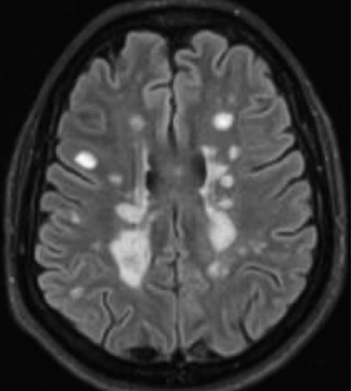 Imagem do WhatsApp de 2025 09 18 as 08.22.39 5237cf1e 1