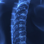 Group logo of Curso: Coluna (módulo 2)